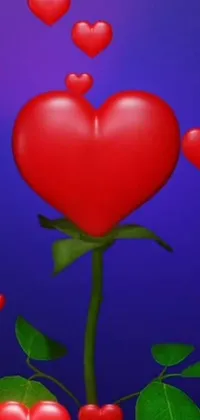 This vibrant phone live wallpaper features a stunning red rose with hearts popping out of it, surrounded by blue background