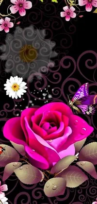 This live wallpaper features a pink rose on a black background with vector art