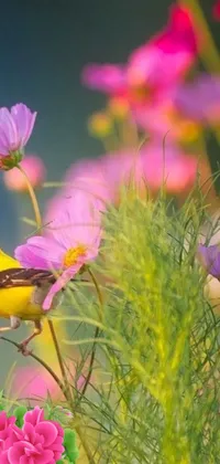 This lovely phone live wallpaper is a visual feast for nature lovers, featuring a yellow bird perched upon a striking purple flower