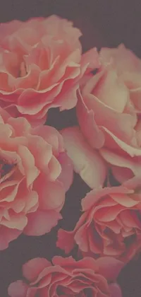 This beautiful phone wallpaper features a stunning arrangement of pink roses, captured in digital art