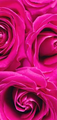 The Pink Roses Live Wallpaper features a high-resolution digital rendering of beautiful fuchsia pink roses in a close-up view