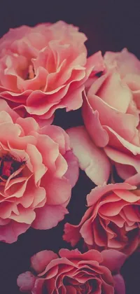 This phone live wallpaper features a stunning arrangement of pink roses on a wooden table with a vintage closeup photograph as inspiration
