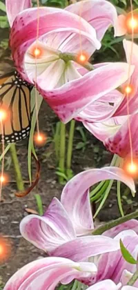 This live wallpaper for phones features the digital image of a butterfly perched on a bed of flowers
