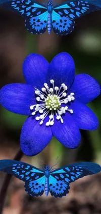 This phone live wallpaper showcases two blue flowers surrounded by lush greenery