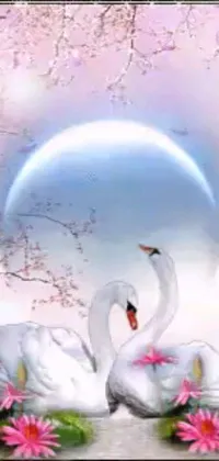This swan couple live wallpaper depicts two graceful birds standing next to each other in a serene moonlit landscape