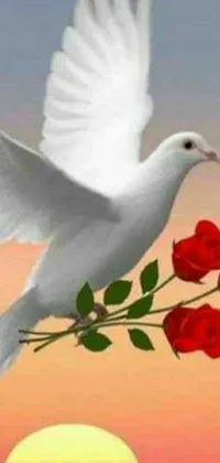 This phone live wallpaper showcases a serene scene of a white dove flying over a rich red rose bush, with a sun and pink sky in the background