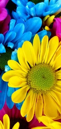 Get lost in the beauty of a stunning phone live wallpaper featuring a mix of yellow, blue, and cyan flowers