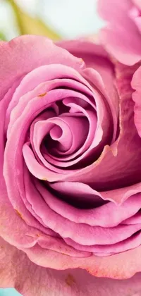 This captivating live wallpaper features a close-up of a beautiful pink rose in a vase, with a complex vortex pattern swirling around it