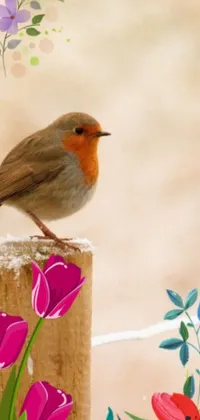 This phone live wallpaper depicts a realistic image of a robin perched on a wooden post, with frozen flowers emanating from the background