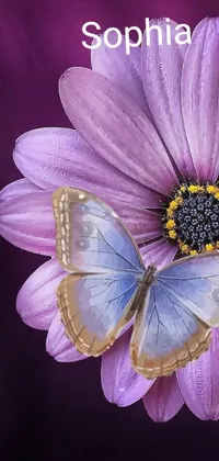 This stunning live wallpaper for your phone showcases a hyper-detailed close-up shot of a flower and butterfly