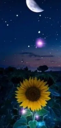 This stunning live wallpaper depicts a sunflower in a field, with a beautiful moon in the background and a starry sky filled with twinkling stars and planets
