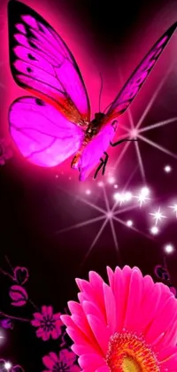 This stunning live wallpaper features a beautiful pink butterfly flying over a vibrant pink flower on a striking neon pink and black color scheme