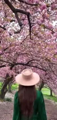 This live phone wallpaper features a woman wearing a hat standing beneath cherry blossom trees