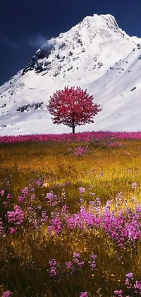 This phone live wallpaper portrays a picturesque natural landscape featuring a tree standing alone amidst a striking field of pink and yellow flowers