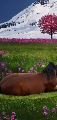 This phone live wallpaper features a stunning digital rendering of a horse resting in a grassy meadow with fields of flowers in the foreground