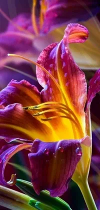 Get mesmerized with this incredible phone live wallpaper featuring a captivating close-up of a flower
