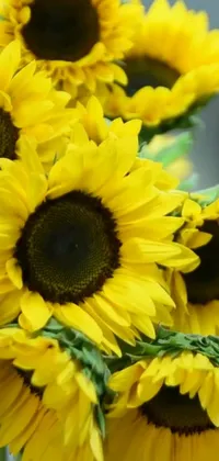 This lively wallpaper features a stunning close-up of yellow sunflowers beautifully arranged in a vase
