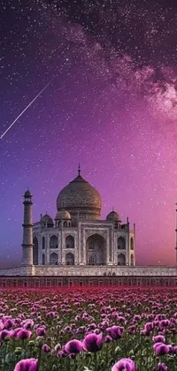 This lively phone wallpaper features a magnificent, colorful field of flowers admired from a distance with the Taj Mahal, an iconic building as a backdrop