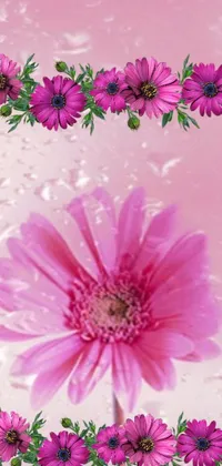 Looking for a stunning live wallpaper that captures the essence of romance and nature? The Pink Flowers wallpaper is for you! Featuring delicate pink flowers arranged on a table against a vintage-looking picture, and adorned with exquisite water droplets, this wallpaper is mesmerizing