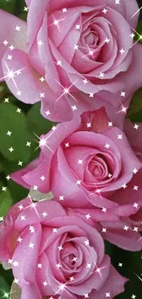 Transform your phone's home screen with this delightful live wallpaper featuring two charming pink roses blooming beautifully on your device