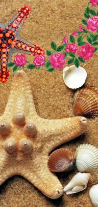 This beautiful phone live wallpaper features a charming starfish resting on a sandy beach surrounded by delicate blooming flowers
