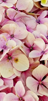 This exquisite phone live wallpaper showcases a close-up view of a beautiful bunch of pink hydrangea flowers that sway from the breeze, with petals gently falling and adding to the tranquil ambiance