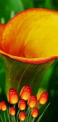 Add a touch of natural beauty to your phone with this vibrant live wallpaper
