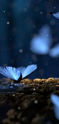 Transform your phone into a magical wonderland with this mesmerising live wallpaper