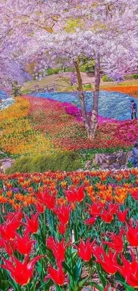 This lively mobile live wallpaper features various stunning scenes, including a bright field of red tulips near water, a colorful and intricate masterpiece of swirling shapes, a city skyline at night, a serene beach with palm trees, a rainbow over picturesque mountains, and a mystical forest with a flying dragon