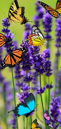 This phone live wallpaper features a beautiful naturalistic image that showcases a group of butterflies in flight against a vibrant background