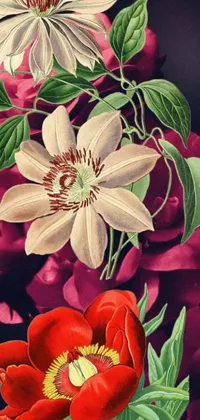 This live wallpaper depicts an eye-catching painting of red and white flowers on a black background