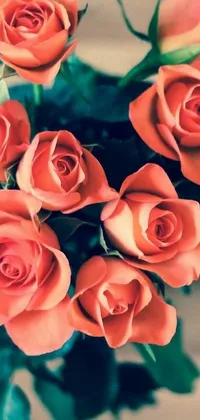 The Orange Roses Live Wallpaper showcases a mesmerizing electronic bouquet of flowers designed with stunning realism, reminiscent of visually interesting platforms like Tumblr and Instagram