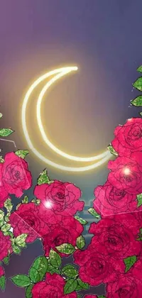 Enhance your phone screen with this stunning live wallpaper featuring a digital rendering of luscious roses, a serene half moon, and enchanting moon beams