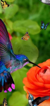 Enjoy a stunning live wallpaper of a hummingbird soaring above a vibrant rose garden surrounded by graceful butterflies