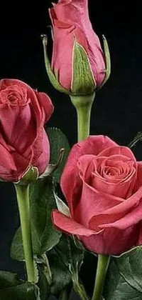 This stunning phone live wallpaper features a contrasting black background adorned with three pink roses in a vase, red blooming flowers, and an uplifting array of smiling emoji faces