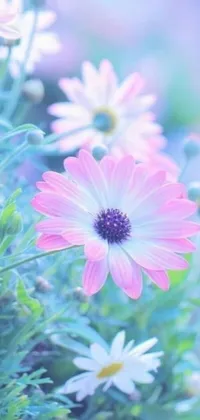 This stunning phone live wallpaper features a close-up view of beautiful flowers in soft, cute colors