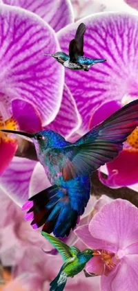 This phone live wallpaper showcases a graceful hummingbird hovering beside a purple flower