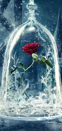 This phone wallpaper boasts a striking red rose delicately enclosed in a glass dome, set against a background of an enchanting ice princess