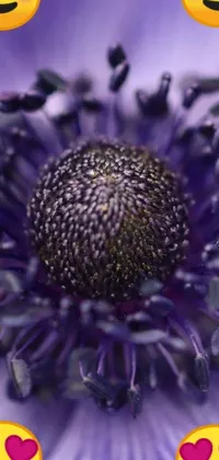 If you're looking for a stunning phone live wallpaper, this one might be perfect for you! It features a macro photograph of beautiful purple flower with emoticons, creating a playful touch