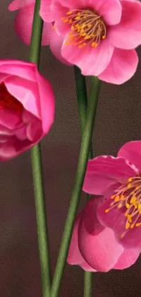 Elevate the look of your mobile device with the breathtaking pink flower live wallpaper