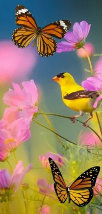 This lively and beautiful phone live wallpaper captures the essence of nature's tranquility with its playful birds and colorful field of flowers