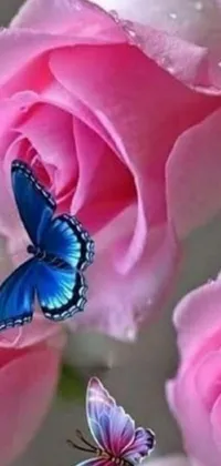 This phone live wallpaper features a stunning scene of pink roses and blue butterflies, creating a beautiful and serene atmosphere on your phone's screen