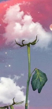 Discover a magical phone wallpaper featuring a stunning, close-up view of a flower set against a dreamy sky with the moon rising in the background