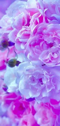 This stunning live wallpaper for your phone showcases a beautiful close-up of pink flowers with a soft purple light, bringing a dreamy and romantic atmosphere to your screen