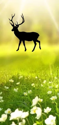 Enhance your phone's ambiance with this stunning live wallpaper featuring a deer standing on top of a lush green field