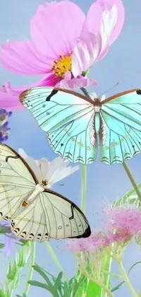 This live phone wallpaper features two fluttering butterflies resting on a blooming flower