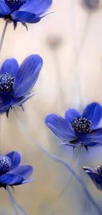 This stunning live wallpaper features a close-up view of blue flowers, beautifully rendered with intricate details