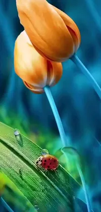 This phone live wallpaper showcases a ladybug sitting on a green leaf amidst a serene scene of tulips in orange and blue hues