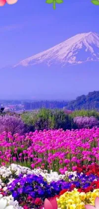 Be mesmerized by the serene beauty of a live phone wallpaper featuring a stunning field of blooming flowers and mountain range in the background, captured from Flickr in Shin Hanga style