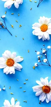 This gorgeous live wallpaper showcases an exquisite arrangement of white flowers resting on a serene blue surface